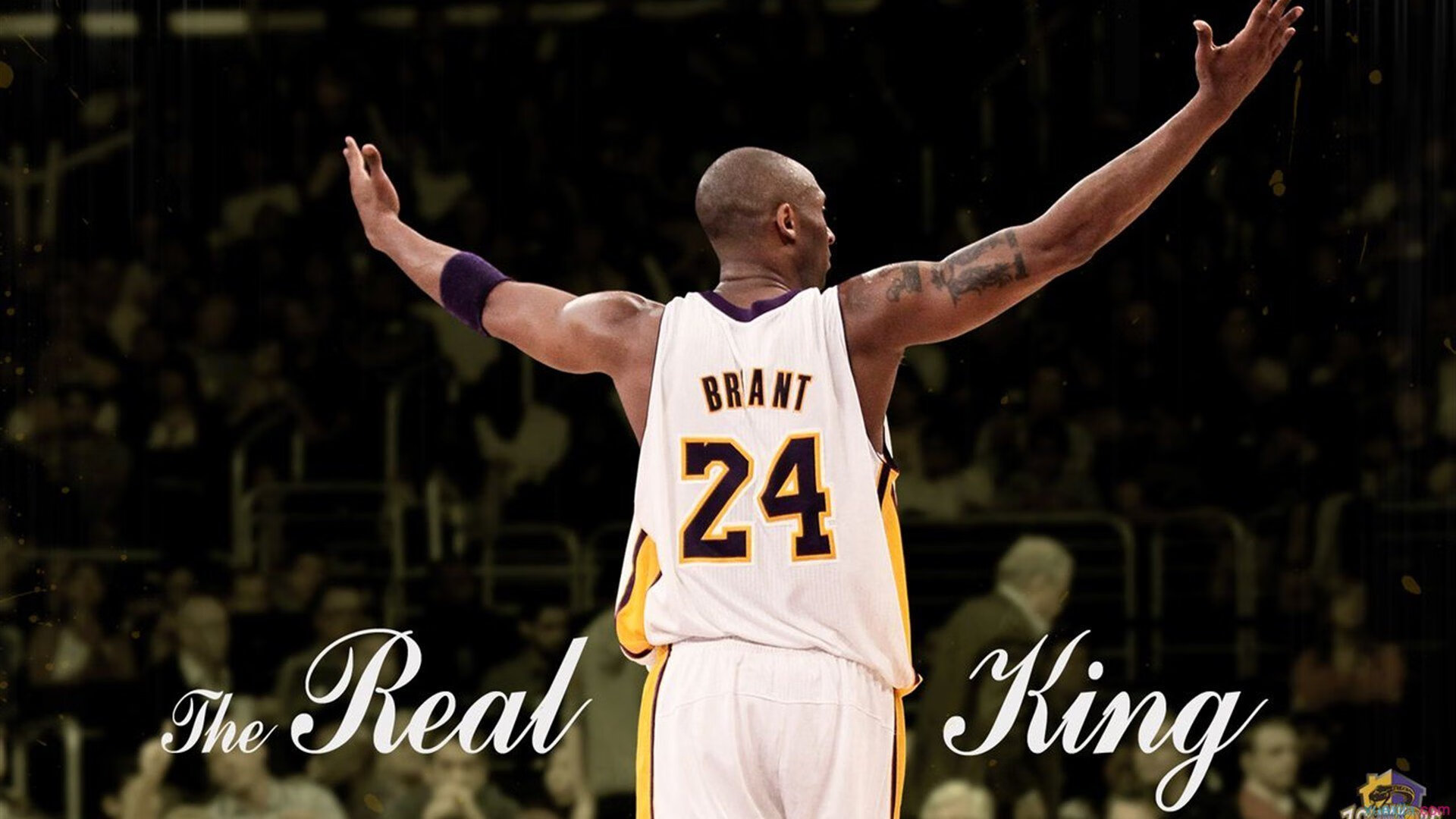 中国篮球精神在时代中闪光,中国篮球精神口号